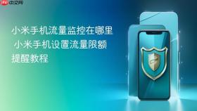 小米手机流量监控在哪里 小米手机设置流量限额提醒教程