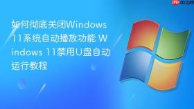 如何彻底关闭windows 11系统自动播放功能 windows 11禁用u盘自动运行教程