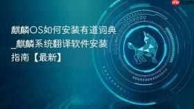 麒麟OS如何安装有道词典_麒麟系统翻译软件安装指南【最新】