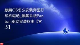 麒麟os怎么安装奔图打印机驱动_麒麟系统pantum驱动安装指南【官方】