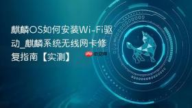 麒麟os如何安装wi-fi驱动_麒麟系统无线网卡修复指南【实测】
