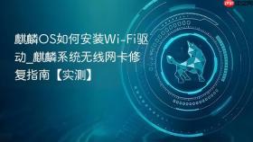 麒麟OS如何安装Wi-Fi驱动_麒麟系统无线网卡修复指南【实测】