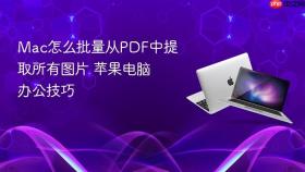 mac怎么批量从pdf中提取所有图片 苹果电脑办公技巧