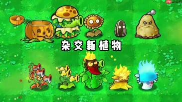 植物大战网页版h5版,手机电脑全平台通用入口