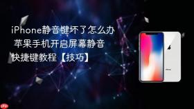 iphone静音键坏了怎么办 苹果手机开启屏幕静音快捷键教程【技巧】