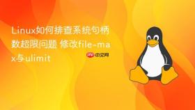 linux如何排查系统句柄数超限问题 修改file-max与ulimit