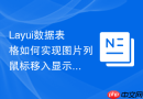 Layui数据表格如何实现图片列鼠标移入显示高清大图浮层