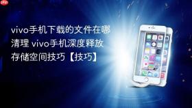 vivo手机下载的文件在哪清理 vivo手机深度释放存储空间技巧【技巧】