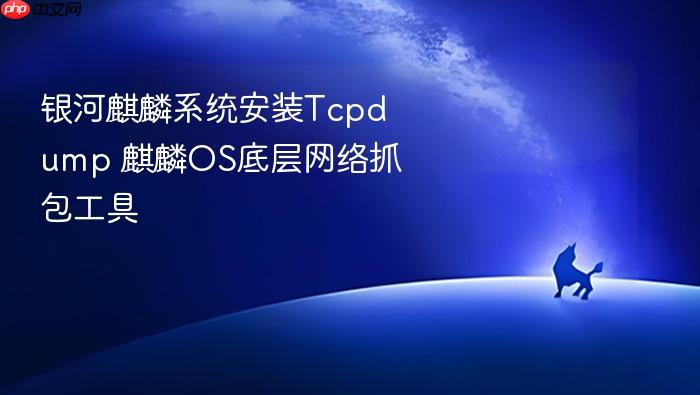 银河麒麟系统安装tcpdump 麒麟os底层网络抓包工具