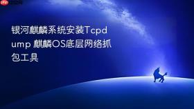 银河麒麟系统安装tcpdump 麒麟os底层网络抓包工具