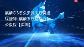 麒麟OS怎么安装向日葵远程控制_麒麟系统远程办公教程【实测】