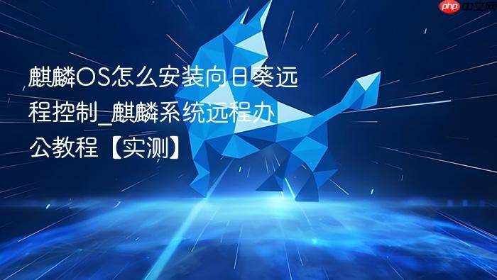 麒麟os怎么安装向日葵远程控制_麒麟系统远程办公教程【实测】