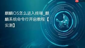 麒麟OS怎么进入终端_麒麟系统命令行开启教程【实测】
