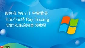 如何在 win11 中查看显卡支不支持 ray tracing 实时光线追踪查询教程
