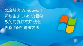 怎么解决 windows 11 系统由于 dns 设置导致的网页打不开 优化网络 dns 连接方法