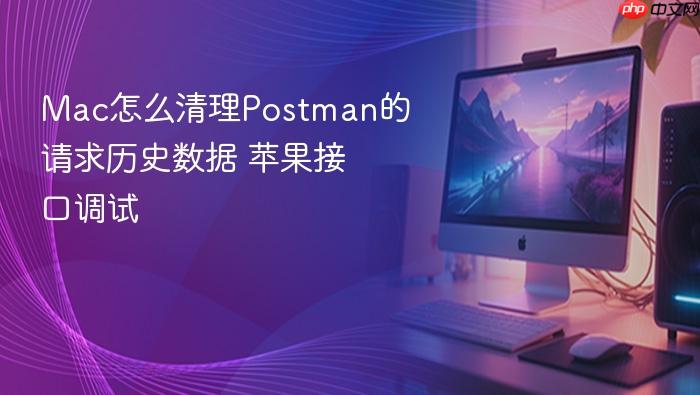 mac怎么清理postman的请求历史数据 苹果接口调试