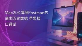 mac怎么清理postman的请求历史数据 苹果接口调试