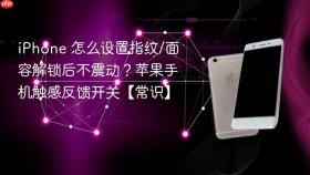 iphone 怎么设置指纹/面容解锁后不震动？苹果手机触感反馈开关【常识】
