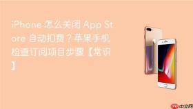 iphone 怎么关闭 app store 自动扣费?苹果手机检查订阅项目步骤【常识】