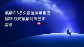麒麟OS怎么设置屏幕垂直翻转 银河麒麟特殊显示需求