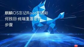 麒麟os忘记root密码如何找回 终端重置密码步骤