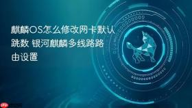 麒麟OS怎么修改网卡默认跳数 银河麒麟多线路路由设置