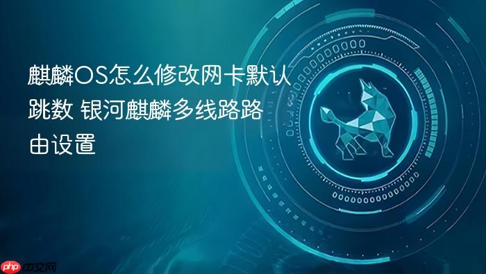 麒麟os怎么修改网卡默认跳数 银河麒麟多线路路由设置