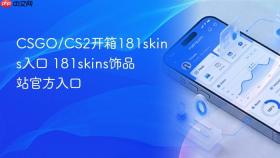 CSGO/CS2开箱181skins入口 181skins饰品站官方入口