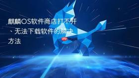 麒麟OS软件商店打不开、无法下载软件的解决方法