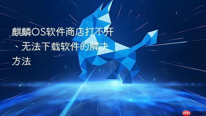 麒麟os软件商店打不开、无法下载软件的解决方法