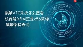 麒麟V10系统怎么查看机器是ARM还是x86架构 麒麟架构查询