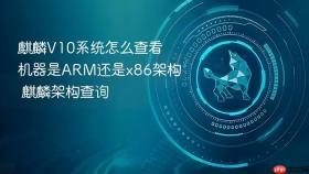 麒麟v10系统怎么查看机器是arm还是x86架构 麒麟架构查询