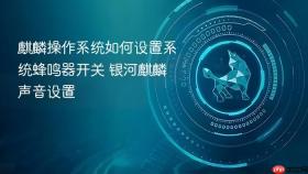 麒麟操作系统如何设置系统蜂鸣器开关 银河麒麟声音设置