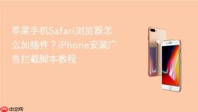 苹果手机Safari浏览器怎么加插件？iPhone安装广告拦截脚本教程