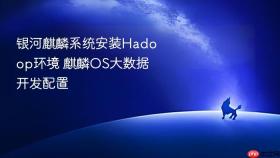 银河麒麟系统安装hadoop环境 麒麟os大数据开发配置