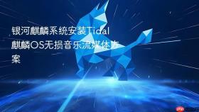 银河麒麟系统安装tidal 麒麟os无损音乐流媒体方案