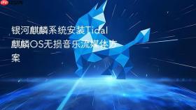 银河麒麟系统安装Tidal 麒麟OS无损音乐流媒体方案