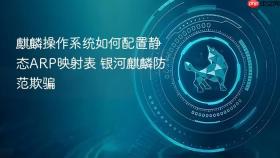麒麟操作系统如何配置静态ARP映射表 银河麒麟防范欺骗