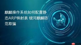 麒麟操作系统如何配置静态arp映射表 银河麒麟防范欺骗