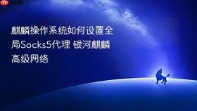 麒麟操作系统如何设置全局Socks5代理 银河麒麟高级网络