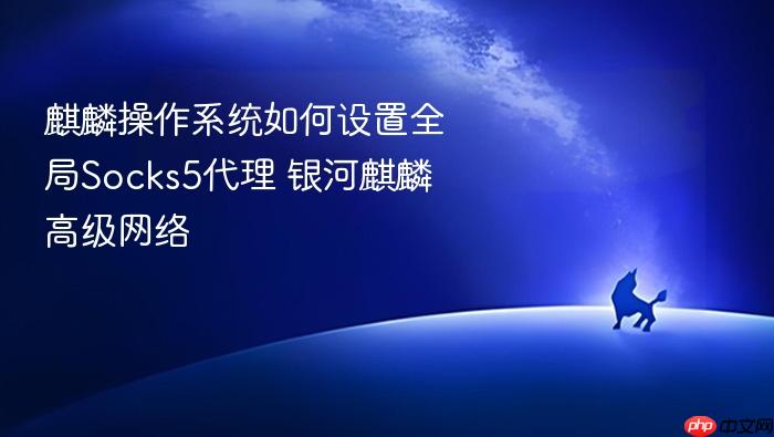 麒麟操作系统如何设置全局socks5代理 银河麒麟高级网络