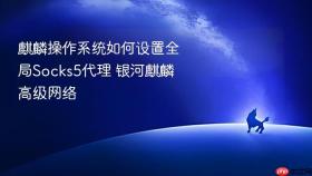 麒麟操作系统如何设置全局socks5代理 银河麒麟高级网络
