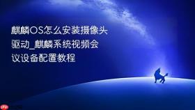 麒麟OS怎么安装摄像头驱动_麒麟系统视频会议设备配置教程
