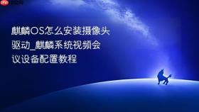 麒麟os怎么安装摄像头驱动_麒麟系统视频会议设备配置教程