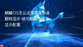 麒麟OS怎么设置屏幕垂直翻转显示 银河麒麟特殊显示配置