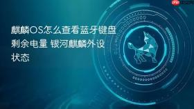 麒麟OS怎么查看蓝牙键盘剩余电量 银河麒麟外设状态