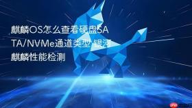 麒麟OS怎么查看硬盘SATA/NVMe通道类型 银河麒麟性能检测