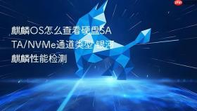 麒麟os怎么查看硬盘sata/nvme通道类型 银河麒麟性能检测