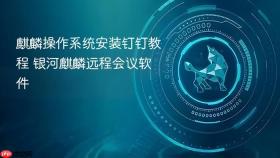 麒麟操作系统安装钉钉教程 银河麒麟远程会议软件