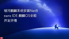 银河麒麟系统安装netbeans ide 麒麟os全能开发环境